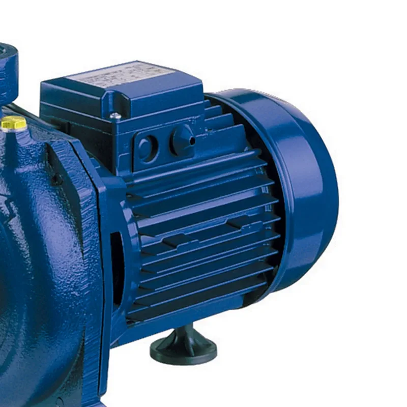 EBARA CMR/E 1.00M (IE2)หอยโข่งใบพัดเดี่ยว(1PH) - Image 3