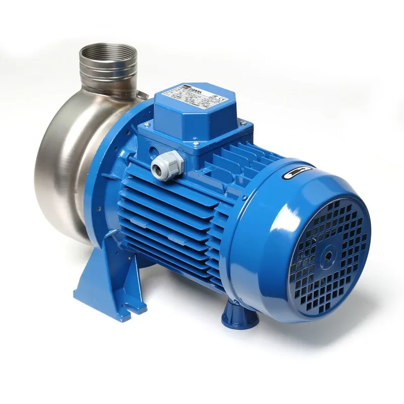 EBARA DWO200 ปั๊มสแตนเลสใบพัดเปิด(2HP 3สาย) - Image 2