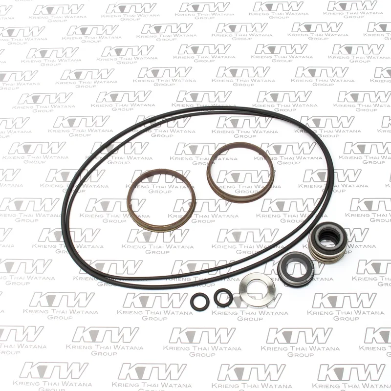 EBARA อะไหล่ KIT HS VER. 2CDX200/40,200/50
